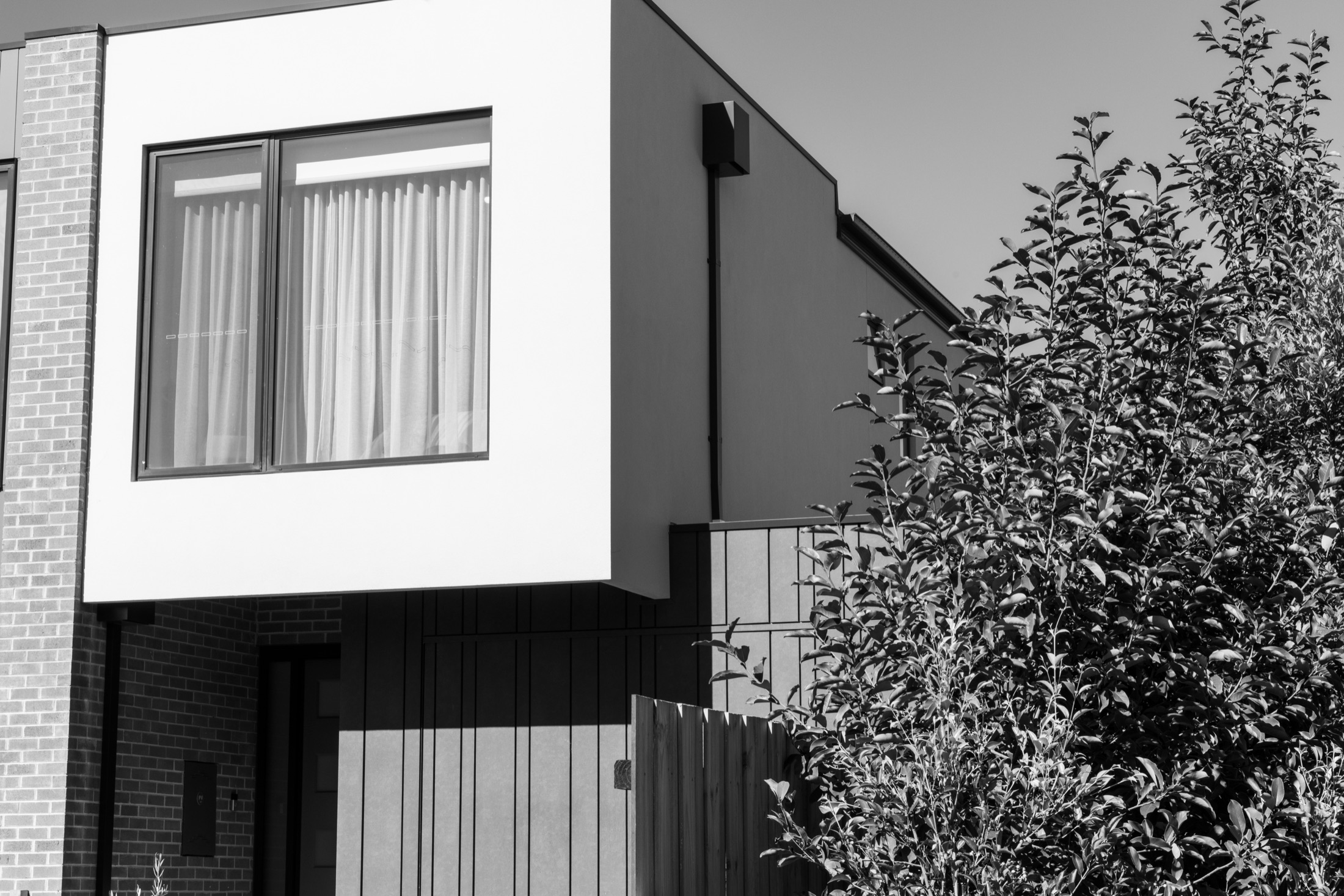 Black and white detail of the upper storey, windows and established front tree